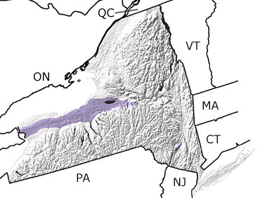 Silurian in New York map
