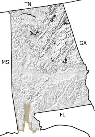 Quaternary in Alabama map