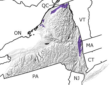 Cambrian in New York map