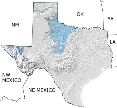 Permian in Texas map