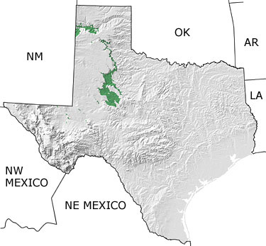 Triassic in Texas map