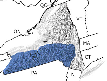 Devonian in New York map