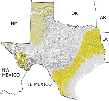 Tertiary in Texas map