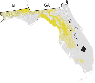 Tertiary in Florida map