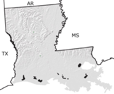 Jurassic in Louisiana map