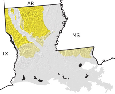 Tertiary in Louisiana map