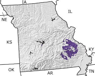 Cambrian in Missouri map