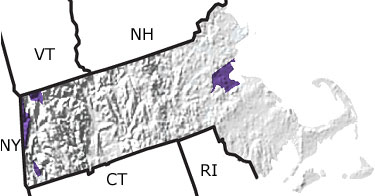 Cambrian in Massachusetts map
