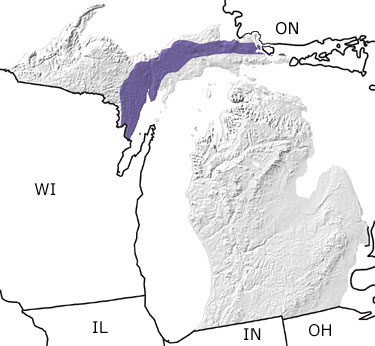 Ordovician in Michigan map