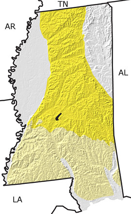 Tertiary in Mississippi map