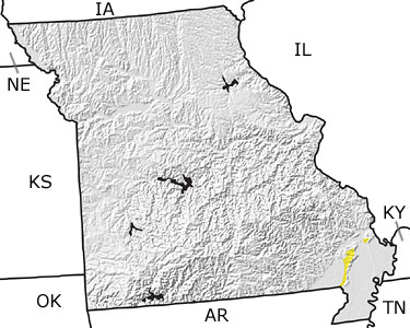 Tertiary in Missouri map