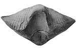 Fossil photos from Carboniferous in Ohio