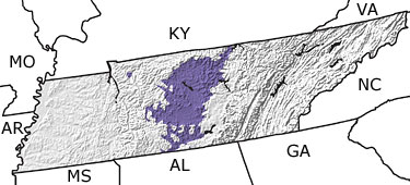 Ordovician in Tennessee map