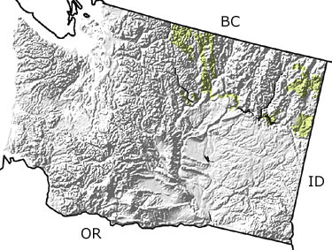 Cretaceous in Washington map