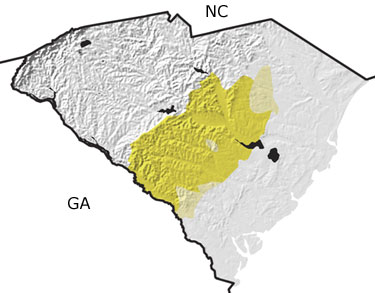Tertiary in South Carolina map