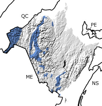 Devonian in New Brunswick map