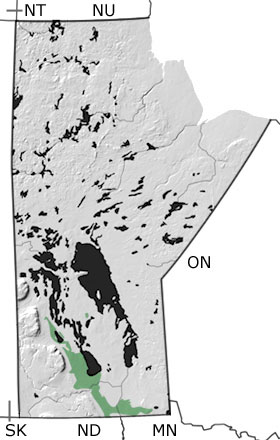 Jurassic in Manitoba map