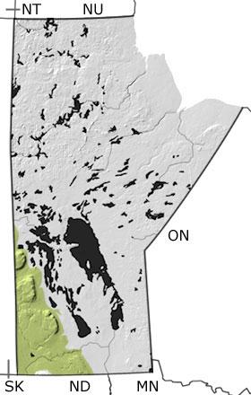 Cretaceous in Manitoba map