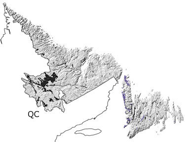 Ordovician in Newfoundland and Labrador map
