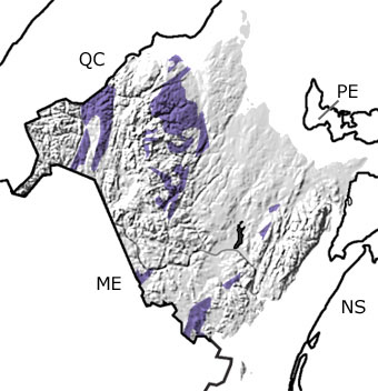 Ordovician in New Brunswick map