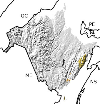 Precambrian in New Brunswick map