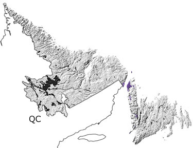 Cambrian in Newfoundland and Labrador map